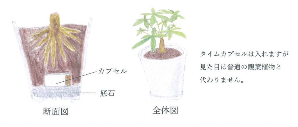 商品イメージ